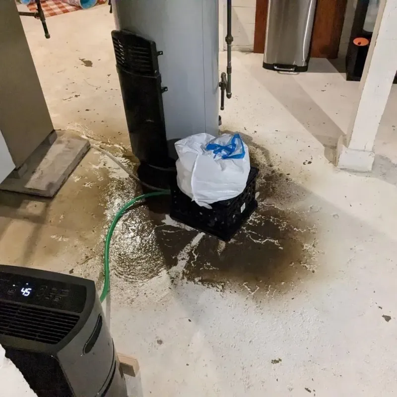 Sewage Backup Cleanup Service in Berlin, PA